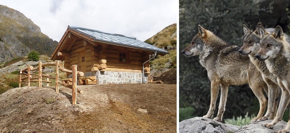 Bivacco in legno per il pastore: “Così si prevengono i danni da lupi e orsi”